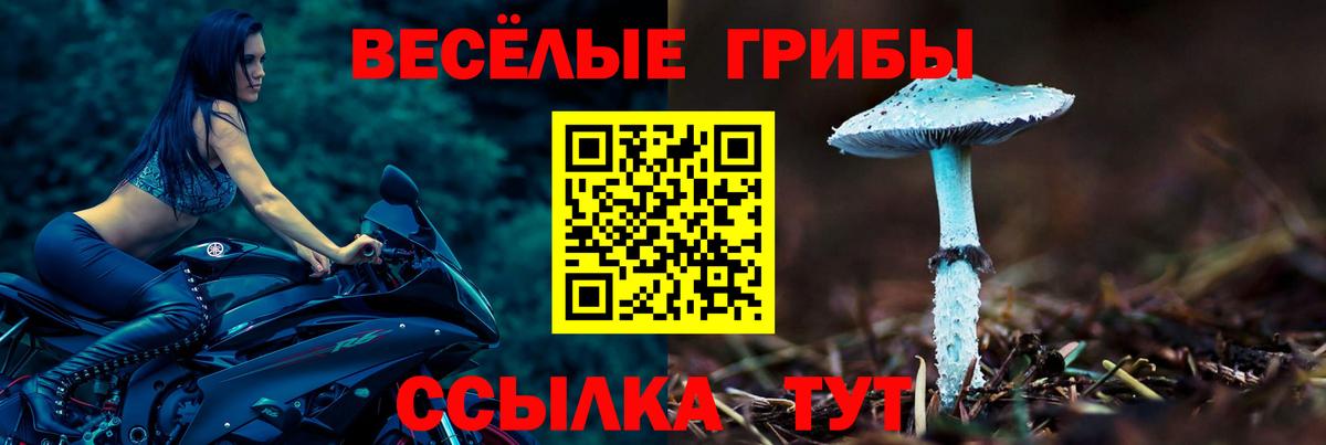 дарнет шоп  Псилоцибиновые грибы мухоморы  Вход с VPN  Менделеевск 